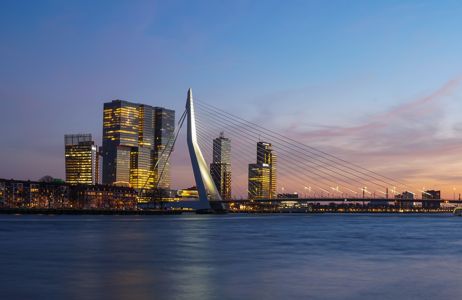 Rotterdam singles solteros 55 mayores