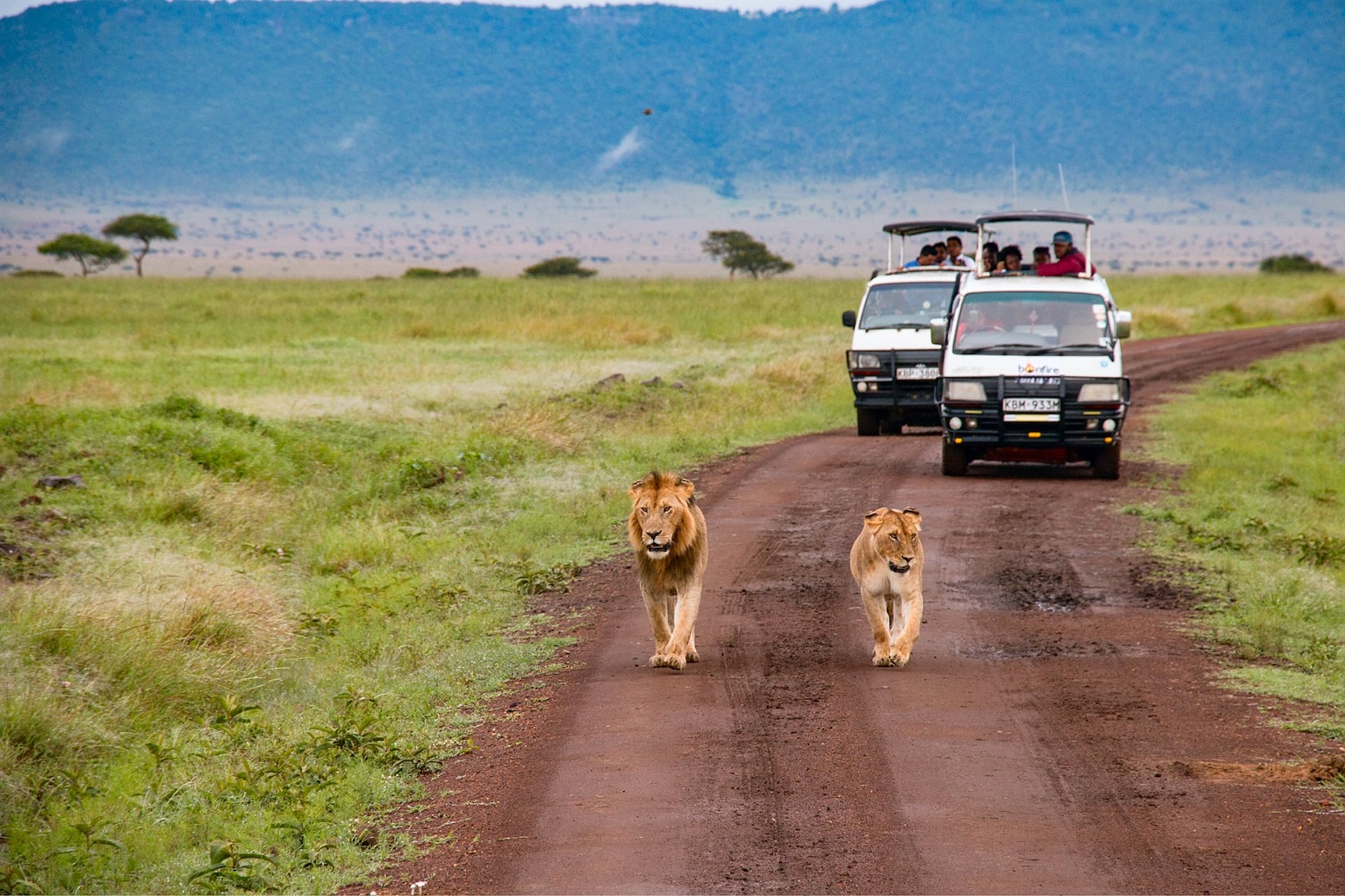 Masai Mara 