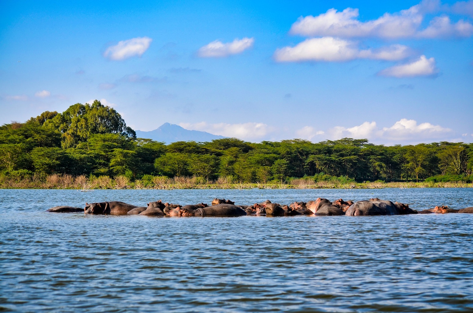 Lago Nakuru