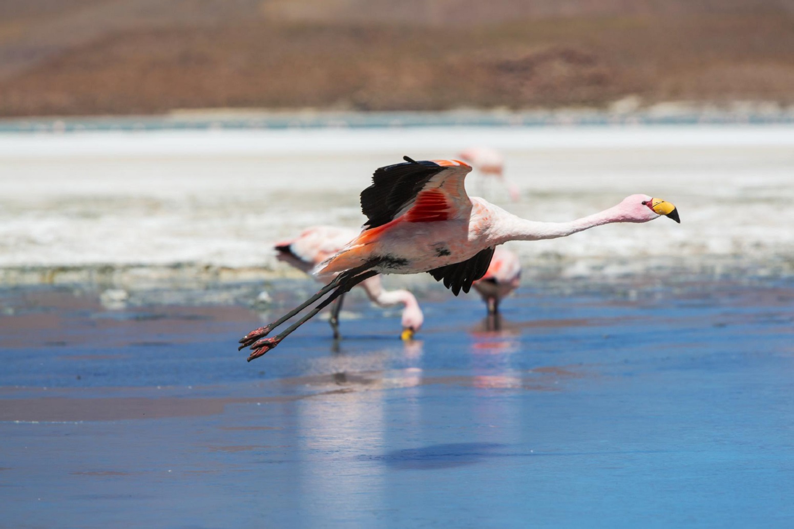 Lago Nakuru