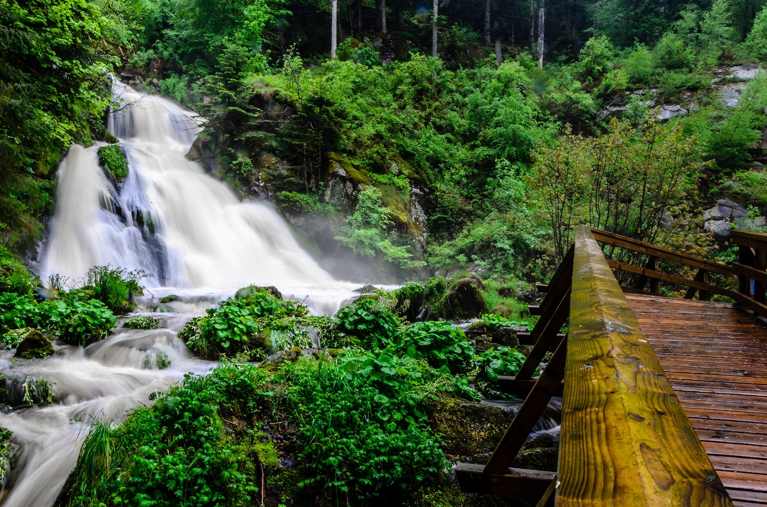 Cascadas de Triberg