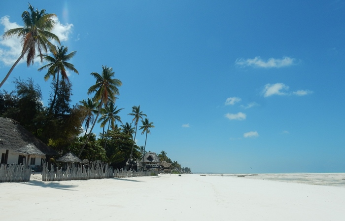 beach singles