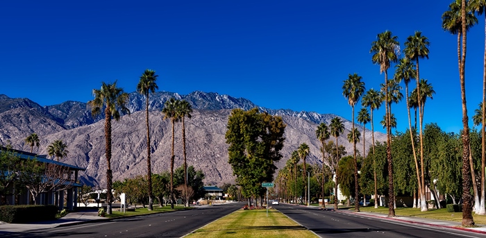 palm springs singles