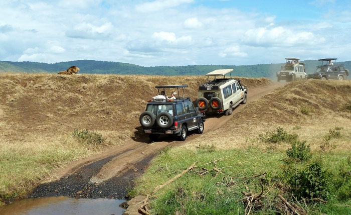 safari tanzania