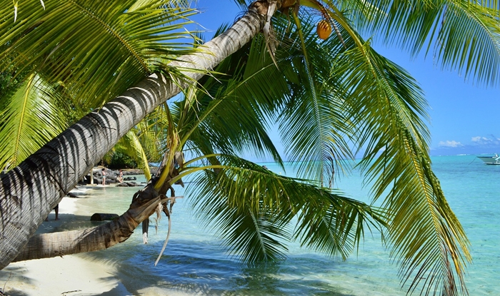 singles viajeros bora bora exotica