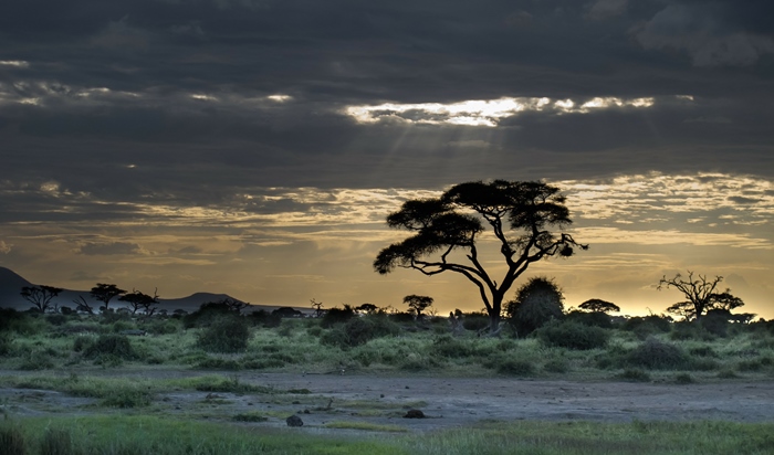 tanzania sunset singles