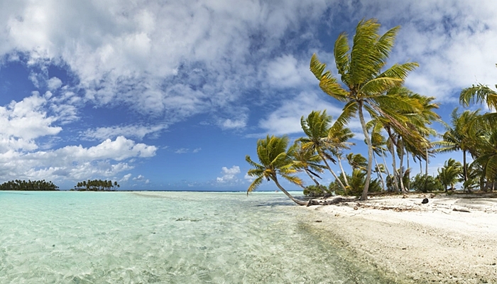 vacaciones para solteros bahamas con niños