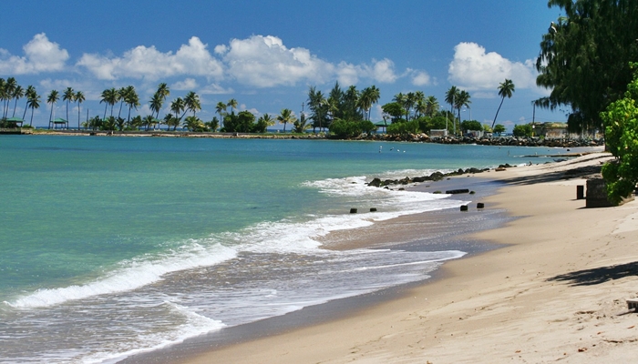 viajes de solteros miami puerto rico