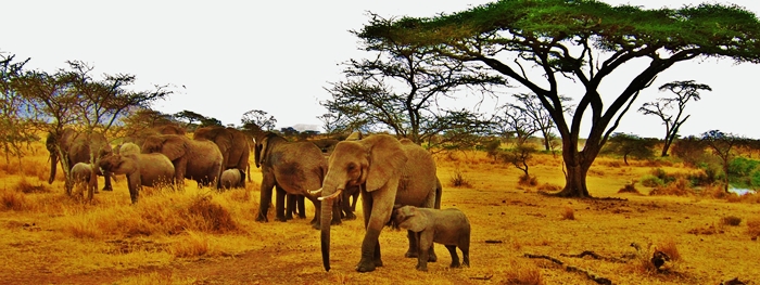 viajes singles kenia zanzibar 01