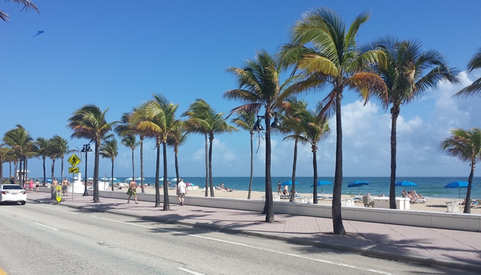 viajes singles miami bahamas