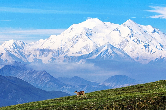 viajes solteros alaska maravillosa