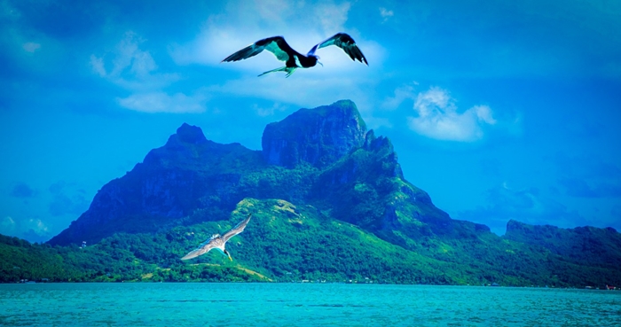viajes solteros bora bora exotica
