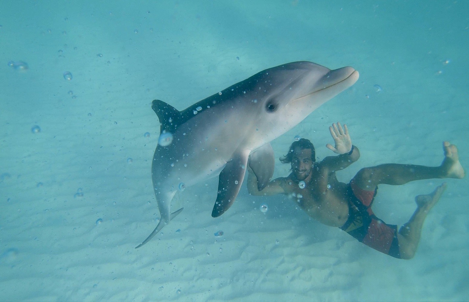 excursion al delfinario de Cayo Santa Maria